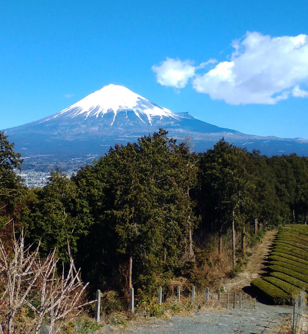 Fujisan Hongu Sengen Taisha